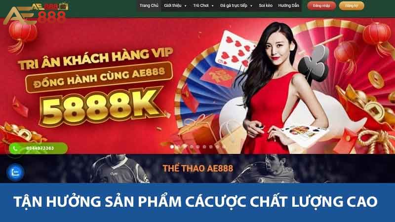 Tận Hưởng Sản Phẩm Cá Cược Chất Lượng